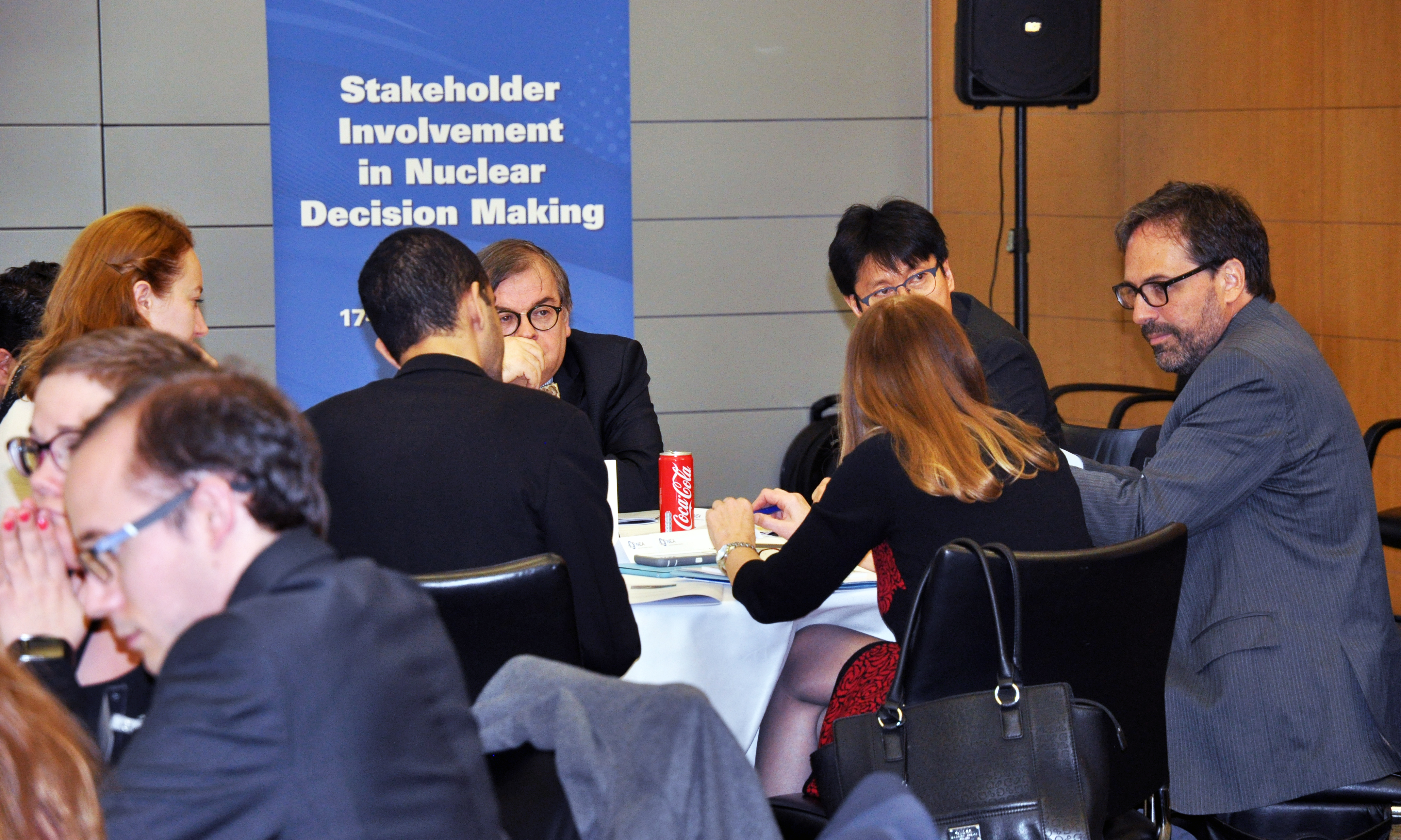 NEA Workshop on Stakeholder Involvement in Nuclear Decision Making, 17-19 January 2017