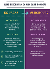 WPNCS Subgroup 7 infographic